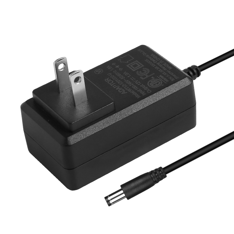 12W Wall Mounted Power Adapter
